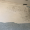 Грибок и плесень на стенах после ремонта