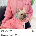 https://instagram.com/pet_friendly_shop?igshid=11qdjh5tyxw