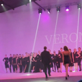 Отзыв о Verona Models: О перспективе в Verona