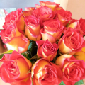 Красивые букеты очень свежих роз!
